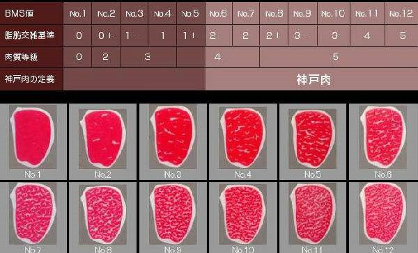 牛肉等級劃分標準詳解，原來A5和牛并非最好！
