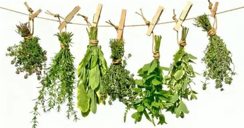 這28種常見香料，有很多廚師都還認不全！