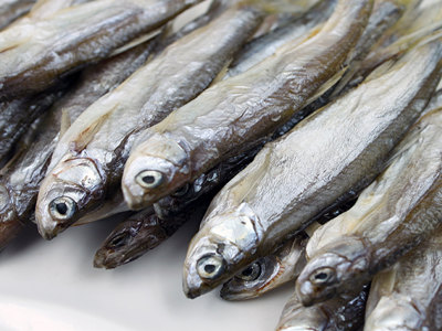 【刁子魚】杜甫詩云“白魚如切玉”的御用貢品食材