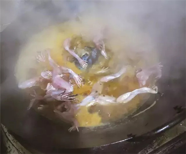 【熱賣菜】美蛙魚頭火鍋