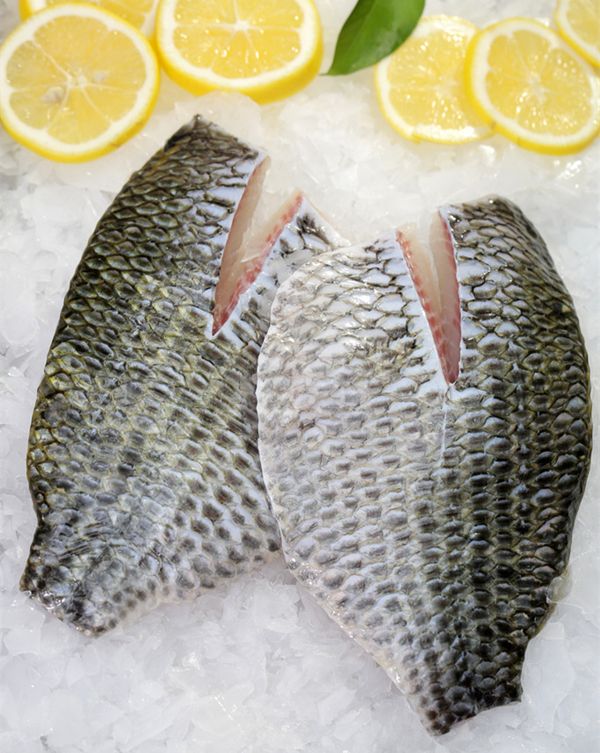 【羅非魚】蛋白質的主要來源之一——羅非魚