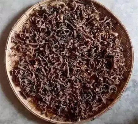 這種豆子，男人最喜歡吃了，你懂的……