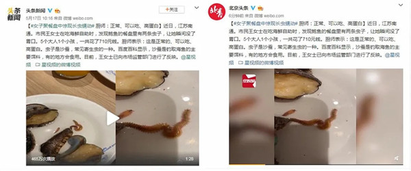 顧客餐盤里的鮑魚爬出兩條蟲，廚師：這是能吃的！隨即，網(wǎng)友們反應(yīng)很激烈！