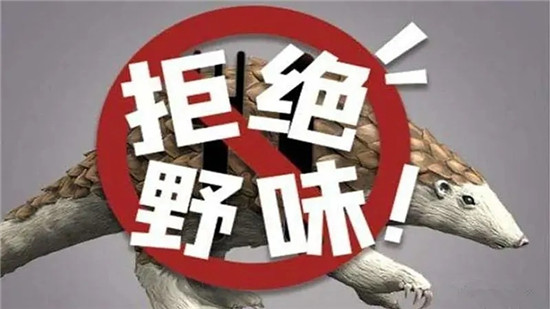 13省市出臺禁野令！北京版禁野令，隨意放生也要處罰！
