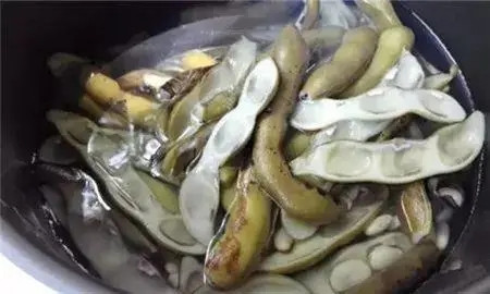 這種豆子，男人最喜歡吃了，你懂的……