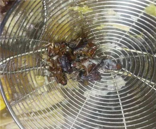 西安一餐廳又被抓包吃出假牙！是假牙！