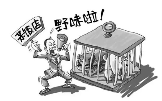 13省市出臺禁野令！北京版禁野令，隨意放生也要處罰！