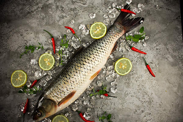 胰腺炎恢復期能吃魚嗎