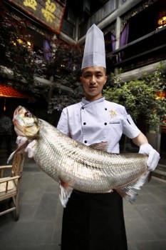 子非餐飲獨家制作美味魚宴——翹殼魚宴