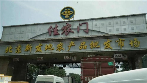 國家為三文魚正名！那家說自己其實(shí)在賣虹鱒魚的日料店，尷尬不？