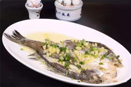 六月吃什么？時令海鱸魚最鮮！一文教你如何分辨海鱸魚與淡水鱸魚！