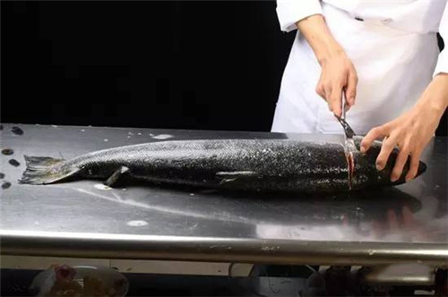 國家為三文魚正名！那家說自己其實(shí)在賣虹鱒魚的日料店，尷尬不？