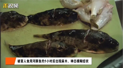 明知有毒，仍輕信自己手藝！上海一男子吃成植物人，廚師被判刑！