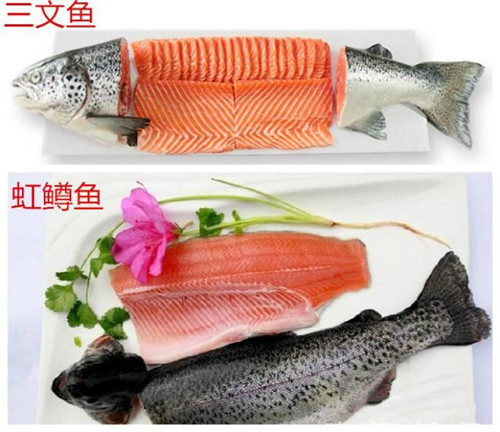 國家為三文魚正名！那家說自己其實(shí)在賣虹鱒魚的日料店，尷尬不？