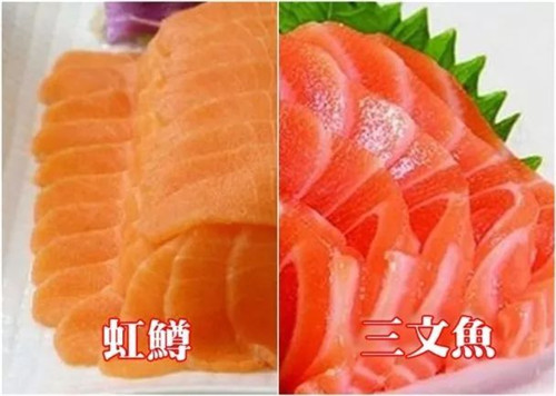 國家為三文魚正名！那家說自己其實(shí)在賣虹鱒魚的日料店，尷尬不？