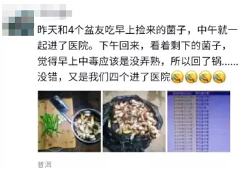 野生菌中毒高發期到了！這些野生蘑菇，千萬不要采、買，更不能吃！