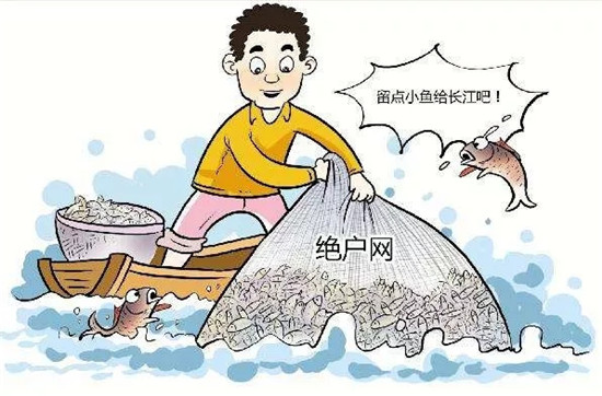 江鮮也不準賣了！餐廳全面禁售江鮮，招牌和菜單不得出現“江鮮”字樣！