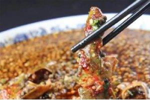 老麻黃臘丁