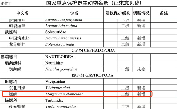 “螺螄”將列為二級保護動物，這是否表示，廚師不能用螺螄做菜了？