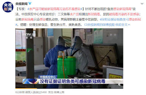 重磅！專家發聲：海鮮魚類不會感染新冠病毒！