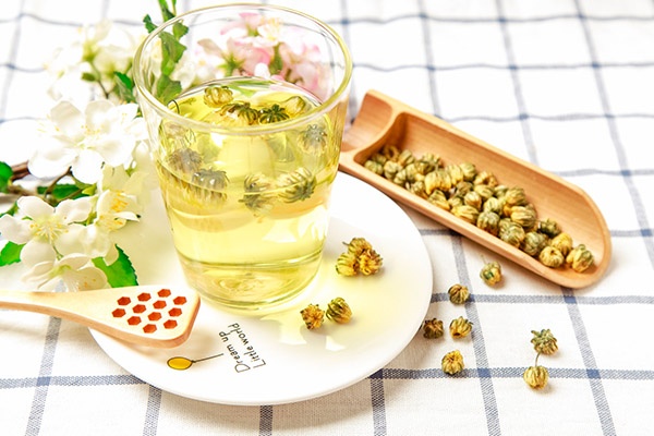 菊花茶可以天天喝嗎
