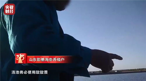 3.15曝光“敵敵畏海參”！官方通報來了！這樣挑選才能買到靚海參！