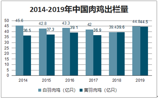 市場(chǎng)的冰凍雞腿都是從哪里來的？會(huì)不會(huì)是“僵尸肉”？一次全部告訴你！