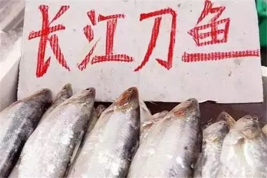 江鮮也不準賣了！餐廳全面禁售江鮮，招牌和菜單不得出現“江鮮”字樣！