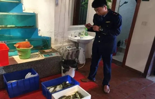 又吃出事！因擅自加工這種食材，致食客中毒，廈門一餐廳被罰12.5萬元！