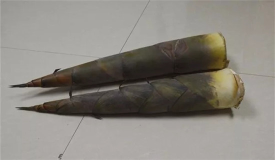 當了廚師那么多年，才知道做菜還有這么多技巧……