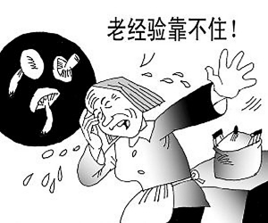 野生菌中毒高發期到了！這些野生蘑菇，千萬不要采、買，更不能吃！