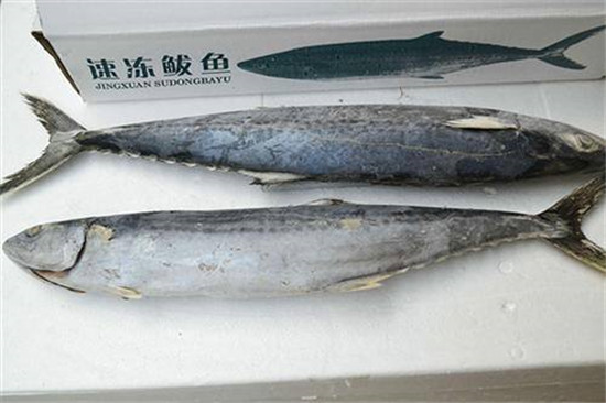 這7種海鮮價格親民，便宜又好吃，現在推出正當季！