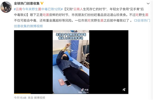 這10種云南菌還當季，很多人只聽說過前3種，全認識的必是云南人