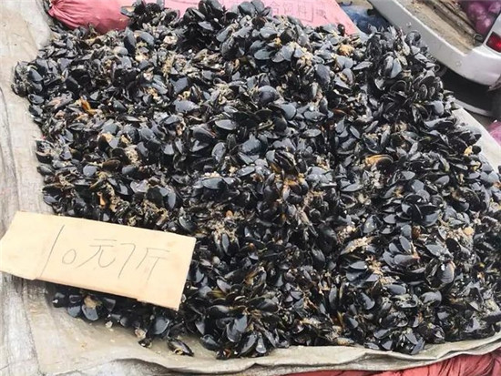 這7種海鮮價格親民，便宜又好吃，現在推出正當季！