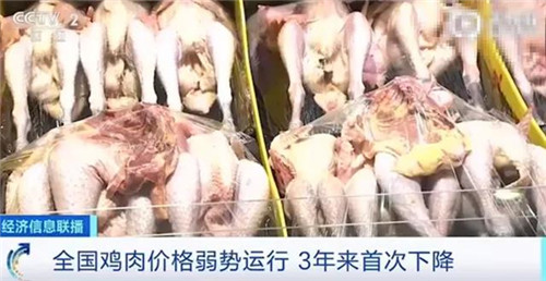 雞肉價格接連暴跌！吃雞雖香，但雞屁股、雞雜到底能不能放心吃？