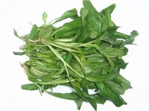廚師必知：8種蔬菜沒煮熟別端上桌！