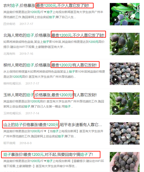 這種野果是很多人的童年回憶，越黑越甜，至于網(wǎng)上說的1200元/斤…