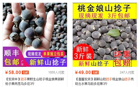 這種野果是很多人的童年回憶，越黑越甜，至于網(wǎng)上說的1200元/斤…