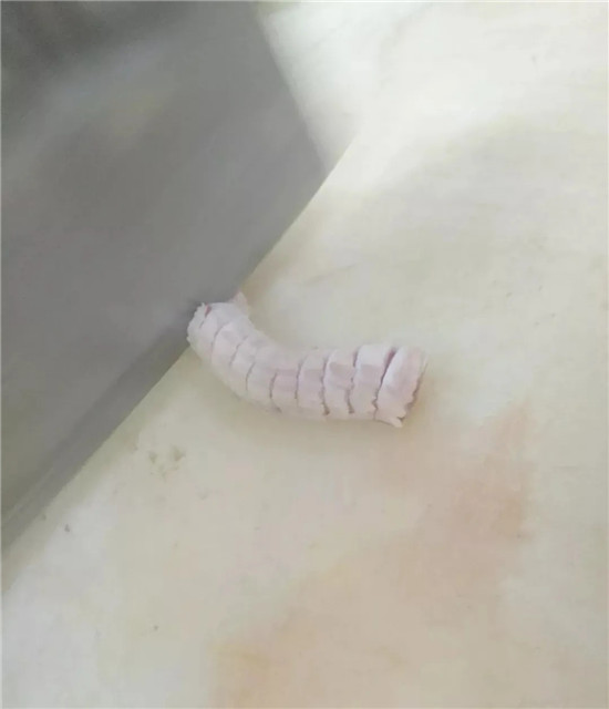【酒樓菜】荊沙牛鞭煲