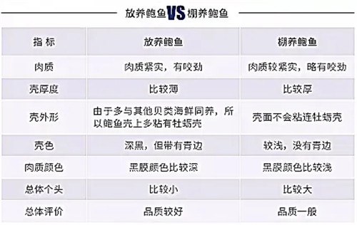 鮮鮑、瀨尿蝦選料、鑒別、加工、烹制全攻略（附多款創(chuàng)新菜式）