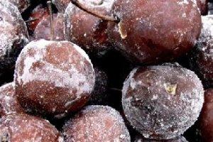 東北有一種食材，用來做雪蛤特棒，南方廚師一定沒見過