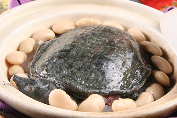 吃什么食物對散光有好處1.jpg