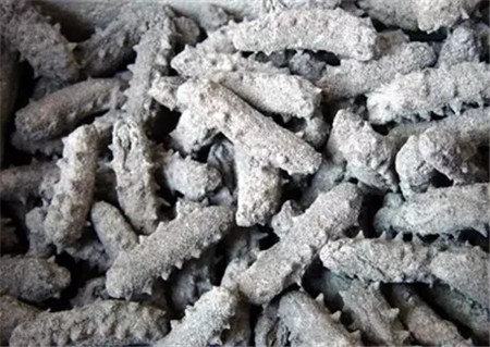活海參的加工處理方法，很多廚師都不知道