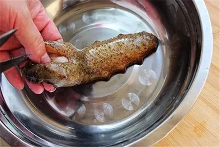 活海參的加工處理方法，很多廚師都不知道