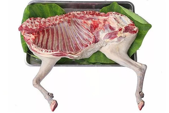 11道應季羊肉菜品，讓你冬季菜牌不用愁！