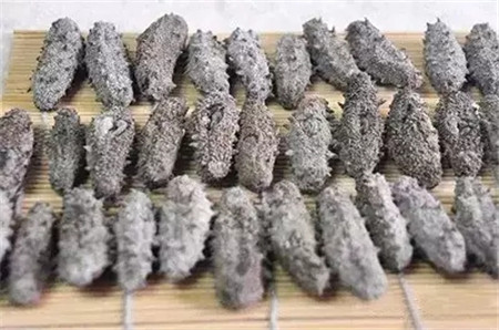 活海參的加工處理方法，很多廚師都不知道