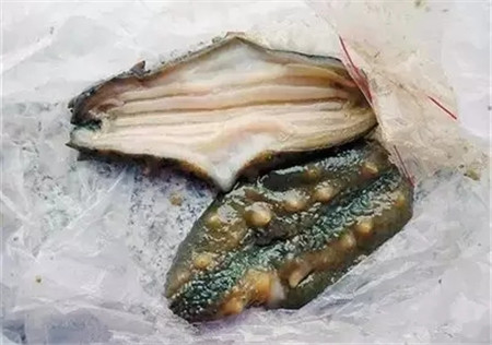 活海參的加工處理方法，很多廚師都不知道