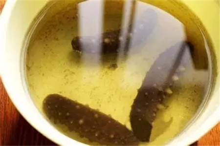 活海參的加工處理方法，很多廚師都不知道