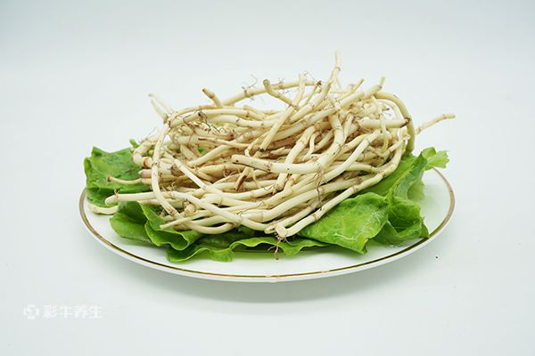魚腥草泡水喝的功效和副作用