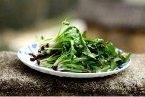春季著名野菜大全,你都吃過多少種?